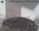 Capi_Dubne_20250908_083502.jpg