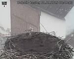 Capi_Dubne_20250908_084003.jpg