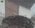 Capi_Dubne_20250908_085502.jpg