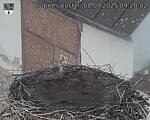 Capi_Dubne_20250908_092002.jpg