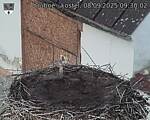 Capi_Dubne_20250908_093002.jpg