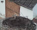 Capi_Dubne_20250908_094503.jpg