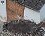 Capi_Dubne_20250908_095002.jpg