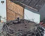 Capi_Dubne_20250908_135002.jpg