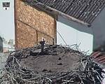 Capi_Dubne_20250908_140503.jpg