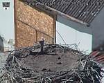 Capi_Dubne_20250908_141503.jpg