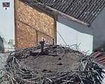 Capi_Dubne_20250908_142003.jpg