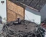 Capi_Dubne_20250908_143003.jpg