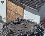 Capi_Dubne_20250908_144002.jpg