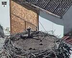 Capi_Dubne_20250908_144503.jpg