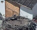 Capi_Dubne_20250908_151502.jpg