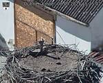 Capi_Dubne_20250908_152502.jpg