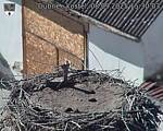 Capi_Dubne_20250908_153003.jpg