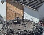 Capi_Dubne_20250908_154003.jpg