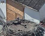 Capi_Dubne_20250908_155003.jpg