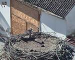 Capi_Dubne_20250908_155502.jpg