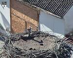 Capi_Dubne_20250908_160003.jpg
