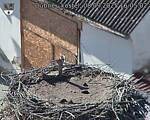 Capi_Dubne_20250908_160502.jpg