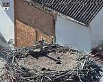 Capi_Dubne_20250908_161503.jpg