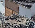 Capi_Dubne_20250908_162002.jpg