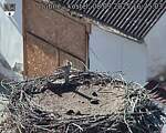 Capi_Dubne_20250908_162503.jpg