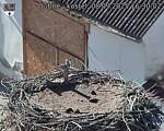 Capi_Dubne_20250908_163002.jpg