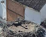 Capi_Dubne_20250908_163503.jpg