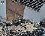 Capi_Dubne_20250908_164003.jpg