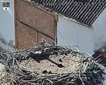 Capi_Dubne_20250908_164503.jpg