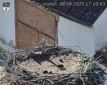 Capi_Dubne_20250908_171003.jpg
