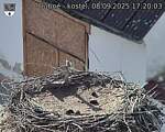 Capi_Dubne_20250908_172003.jpg