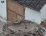Capi_Dubne_20250908_172502.jpg