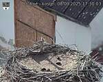 Capi_Dubne_20250908_173003.jpg