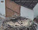 Capi_Dubne_20250908_174002.jpg