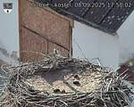 Capi_Dubne_20250908_175002.jpg