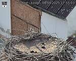 Capi_Dubne_20250908_175503.jpg