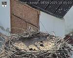 Capi_Dubne_20250908_180503.jpg