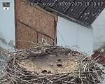 Capi_Dubne_20250908_181002.jpg