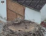 Capi_Dubne_20250908_181503.jpg