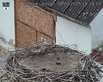 Capi_Dubne_20250908_182002.jpg