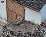 Capi_Dubne_20250908_183002.jpg