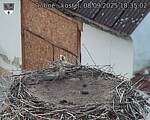 Capi_Dubne_20250908_183502.jpg