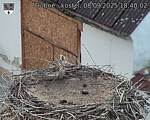 Capi_Dubne_20250908_184002.jpg