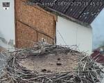 Capi_Dubne_20250908_184503.jpg
