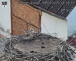 Capi_Dubne_20250908_185003.jpg