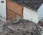 Capi_Dubne_20250908_185502.jpg