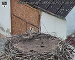 Capi_Dubne_20250908_190003.jpg