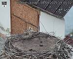 Capi_Dubne_20250908_190502.jpg