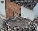 Capi_Dubne_20250908_191003.jpg