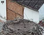 Capi_Dubne_20250908_191503.jpg